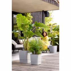 elho 8711904497507 jardinière Gris Plastique - Vue supplémentaire 12