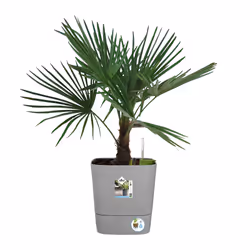 elho 8711904497507 jardinière Gris Plastique - Vue supplémentaire 7