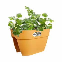elho 8711904497767 pot à fleurs Extérieure Plastique Jaune - Vue supplémentaire 6