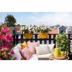 elho 8711904497767 pot à fleurs Extérieure Plastique Jaune - Vue supplémentaire 9