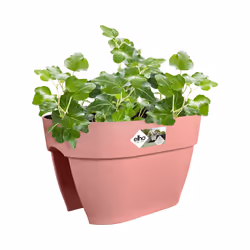 elho 8711904497798 pot à fleurs Extérieure Plastique Rose - Vue supplémentaire 4