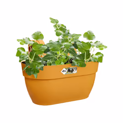 elho 8711904497958 pot à fleurs Extérieure Plastique Jaune - Vue supplémentaire 5