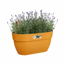 elho 8711904497958 pot à fleurs Extérieure Plastique Jaune - Vue supplémentaire 6