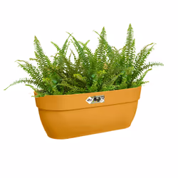 elho 8711904498016 pot à fleurs Extérieure Plastique Jaune - Vue supplémentaire 4