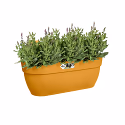 elho 8711904498016 pot à fleurs Extérieure Plastique Jaune - Vue supplémentaire 5