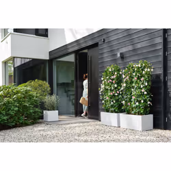 elho 8711904498870 jardinière Blanc Plastique - Vue supplémentaire 11