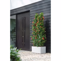 elho 8711904498870 jardinière Blanc Plastique - Vue supplémentaire 9