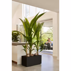 elho 8711904499068 jardinière Noir Plastique - Vue supplémentaire 10