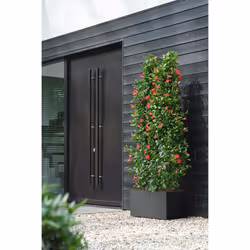 elho 8711904499068 jardinière Noir Plastique - Vue supplémentaire 9