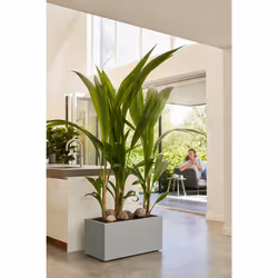 elho 8711904499129 jardinière Gris Plastique - Vue supplémentaire 10