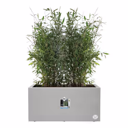elho 8711904499129 jardinière Gris Plastique - Vue supplémentaire 4