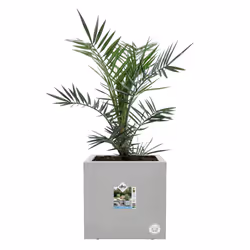 elho 8711904499280 pot à fleurs Intérieur & extérieur Plastique Gris - Vue supplémentaire 4