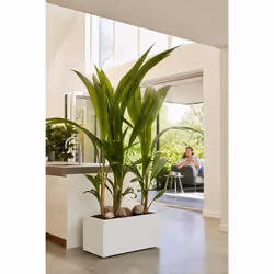 elho 8711904499600 jardinière Blanc Plastique - Vue supplémentaire 10