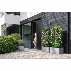 elho 8711904499648 jardinière Gris Plastique - Vue supplémentaire 10