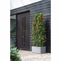 elho 8711904499648 jardinière Gris Plastique - Vue supplémentaire 8