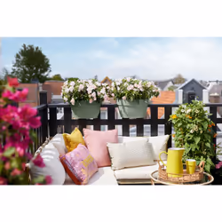 elho 8711904499716 pot à fleurs Extérieure Plastique Vert - Vue supplémentaire 8