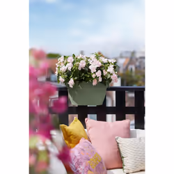 elho 8711904499716 pot à fleurs Extérieure Plastique Vert - Vue supplémentaire 9