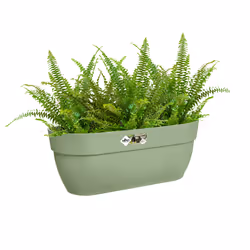 elho 8711904499808 pot à fleurs Extérieure Plastique Vert - Vue supplémentaire 5