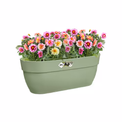 elho 8711904499808 pot à fleurs Extérieure Plastique Vert - Vue supplémentaire 6
