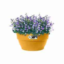 elho 8711904499938 jardinière Jaune Plastique