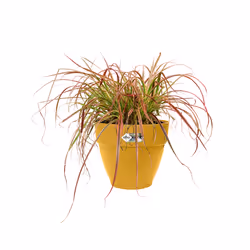 elho 8711904499969 jardinière Jaune Plastique