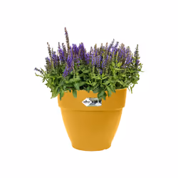elho 8711904500085 jardinière Jaune Plastique
