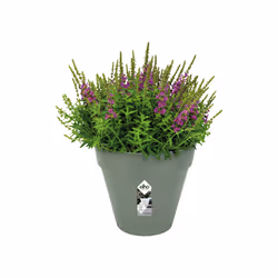 elho 8711904500535 jardinière Vert Plastique