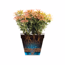 elho 8711904500566 jardinière Vert Plastique - Vue supplémentaire 6