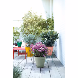 elho 8711904500566 jardinière Vert Plastique - Vue supplémentaire 8