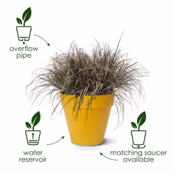 elho 8711904500597 jardinière Vert Plastique - Vue supplémentaire 8