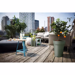 elho 8711904500894 accessoire de plantation Soucoupe