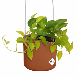 elho 8711904515102 jardinière Marron Plastique