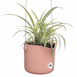 elho 8711904515133 jardinière Rose Plastique - Vue supplémentaire 4