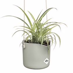 elho 8711904515195 jardinière Vert Plastique - Vue supplémentaire 3