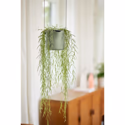 elho 8711904515195 jardinière Vert Plastique - Vue supplémentaire 9