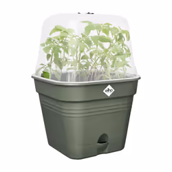 elho 8711904515492 pot à fleurs Plastique Vert - Vue supplémentaire 5