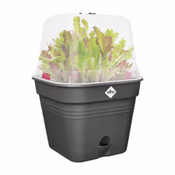 elho 8711904515522 pot à fleurs Plastique Noir - Vue supplémentaire 5