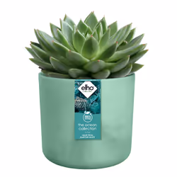 elho 8711904516291 jardinière Vert Plastique