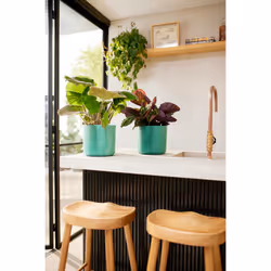 elho 8711904516352 jardinière Vert Plastique - Vue supplémentaire 7