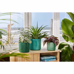 elho 8711904516352 jardinière Vert Plastique - Vue supplémentaire 8