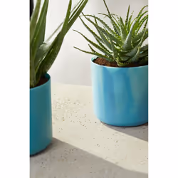 elho 8711904516383 jardinière Bleu Plastique - Vue supplémentaire 7