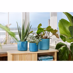 elho 8711904516383 jardinière Bleu Plastique - Vue supplémentaire 8
