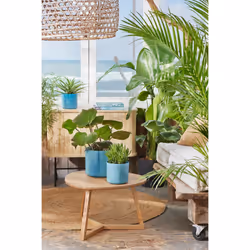 elho 8711904516383 jardinière Bleu Plastique - Vue supplémentaire 9