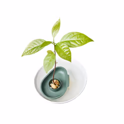 elho 8711904516536 accessoire de plantation