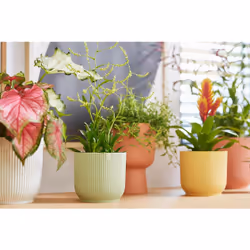 elho 8711904517748 jardinière Vert Plastique - Vue supplémentaire 7