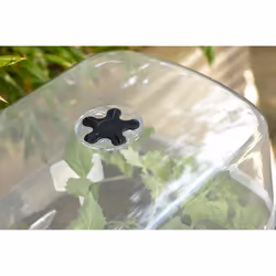 elho 8711904517977 pot à fleurs Plastique Gris - Vue supplémentaire 6