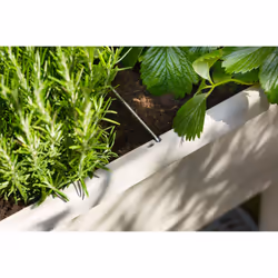 elho 8711904517977 pot à fleurs Plastique Gris - Vue supplémentaire 9