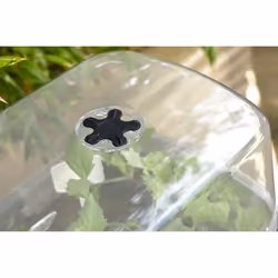 elho 8711904518004 pot à fleurs Plastique Noir - Vue supplémentaire 4