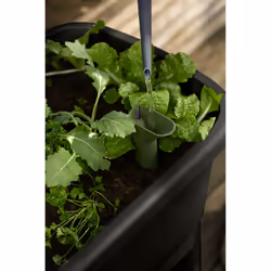 elho 8711904518004 pot à fleurs Plastique Noir - Vue supplémentaire 5
