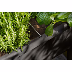 elho 8711904518004 pot à fleurs Plastique Noir - Vue supplémentaire 7